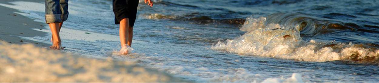 #nivo1 Untitled Header Image