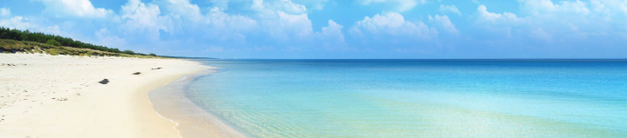 #nivo2 Untitled Header Image