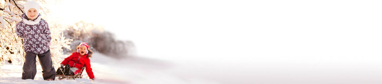 #nivo1 Untitled Header Image